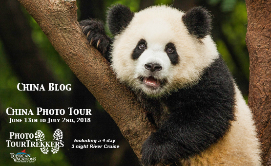 China Tour Blog Invite.jpg