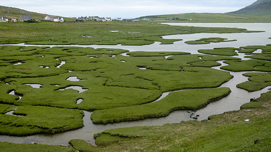 AAAIsle_of_Harris_Machair_DH.jpg